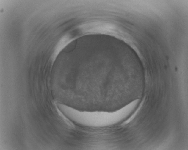 X0000076321529200610271951