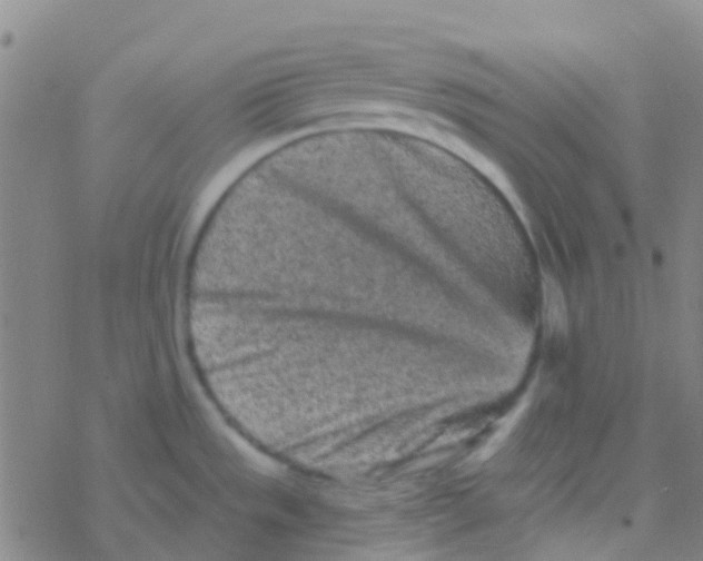 X0000076321533200610271951