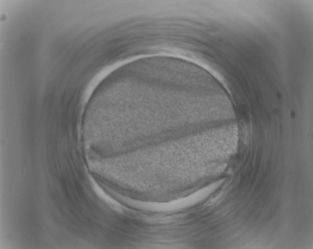 X0000076321535200610271951