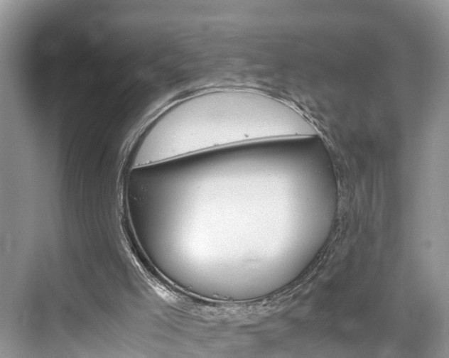 X0000076330005200609290905