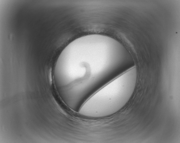 X0000076330020200609290904