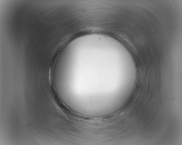 X0000076330024200609290904