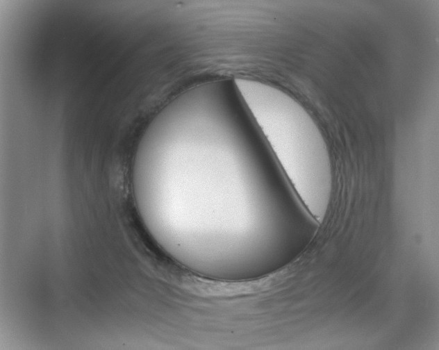 X0000076330031200609290904