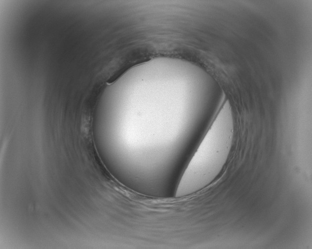 X0000076330033200609290904