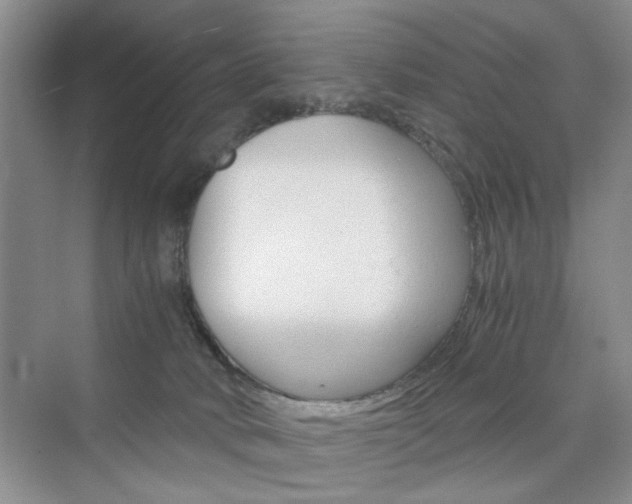 X0000076330034200609290904