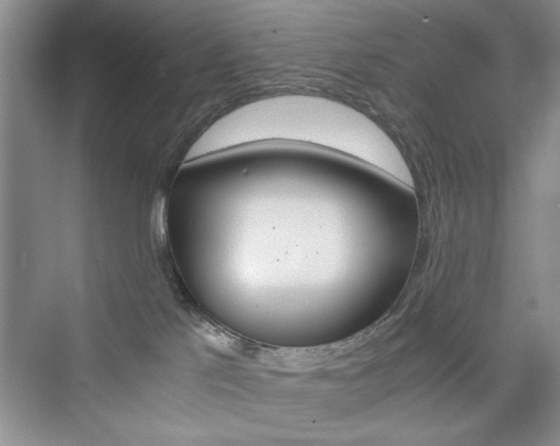 X0000076330041200609290904