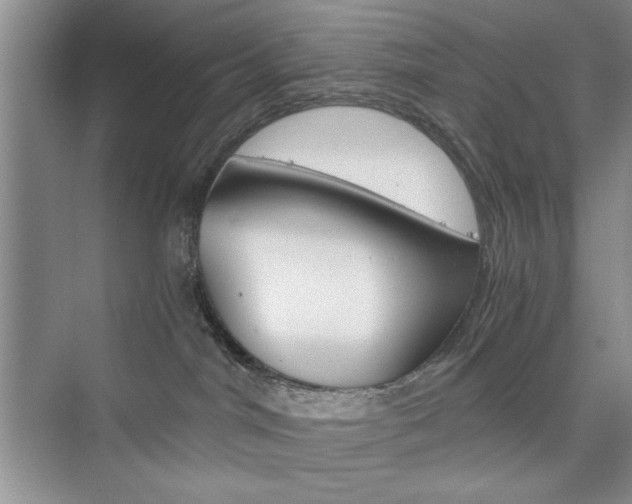 X0000076330044200609290904