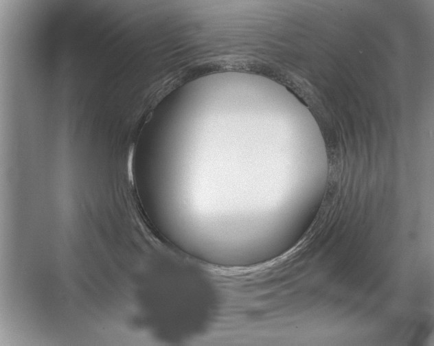 X0000076330047200609290904