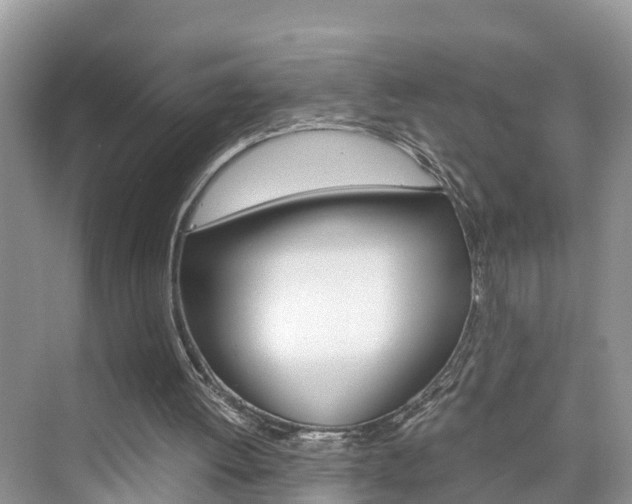 X0000076330052200609290903