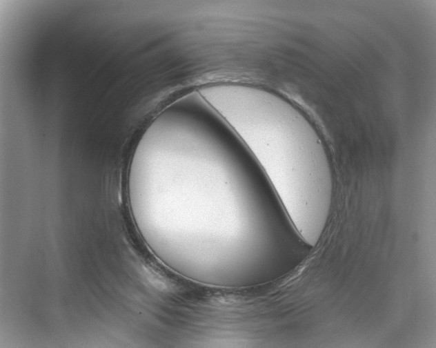 X0000076330062200609290903