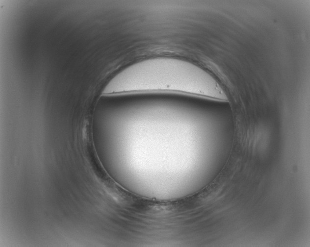 X0000076330071200609290904