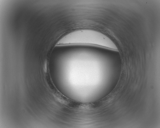 X0000076330076200609290904
