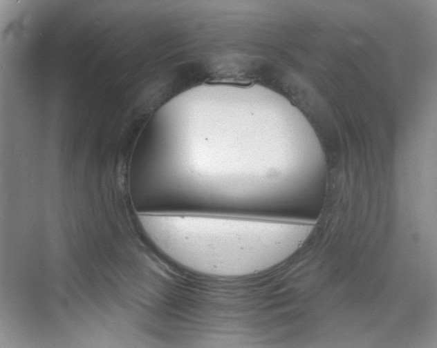 X0000076330081200609290904