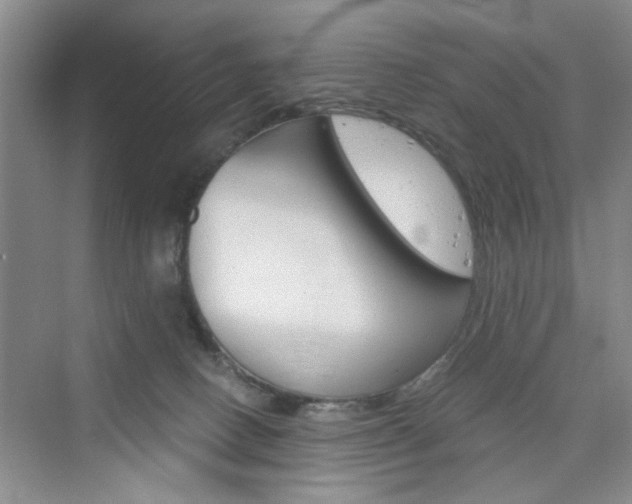 X0000076330082200609290904