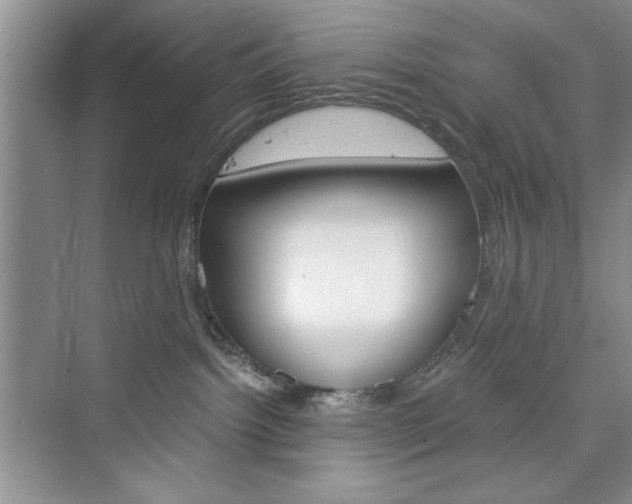 X0000076330092200609290904