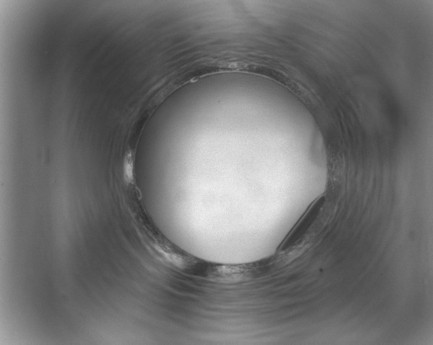 X0000076330095200609290904