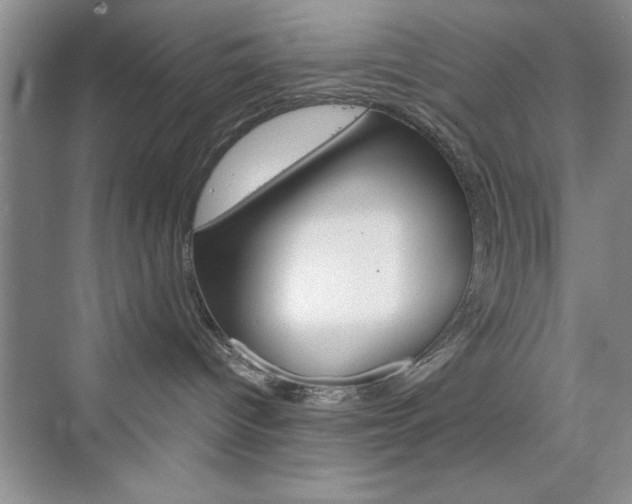 X0000076330096200609290904