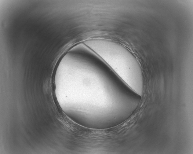 X0000076330099200609290903