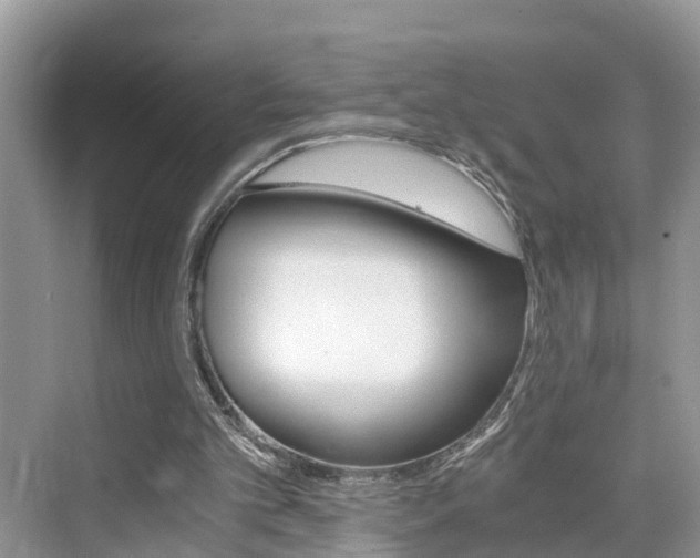 X0000076330101200609290903