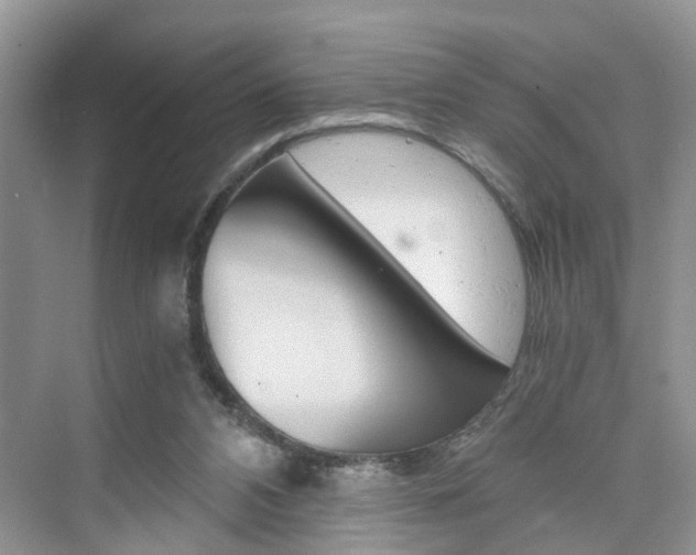 X0000076330112200609290903