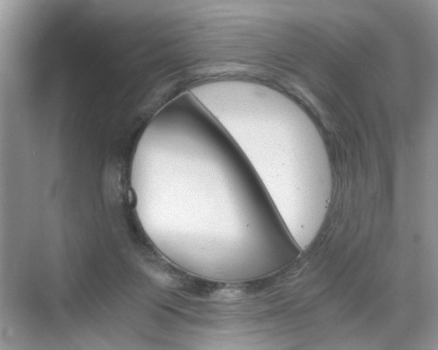 X0000076330119200609290903