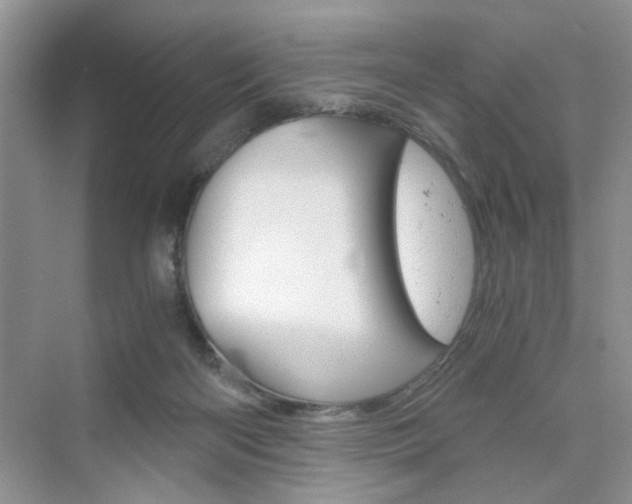 X0000076330122200609290903