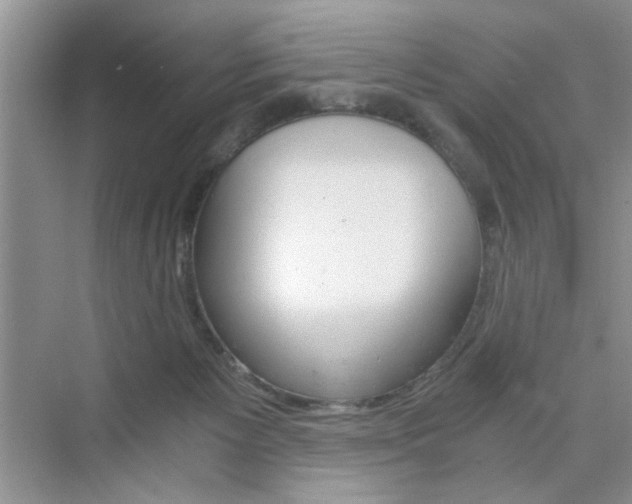 X0000076330125200609290903