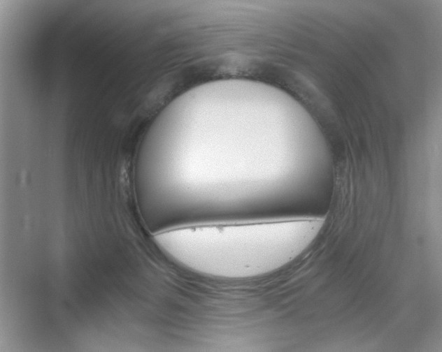 X0000076330127200609290903