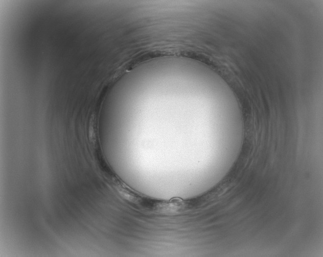 X0000076330131200609290903