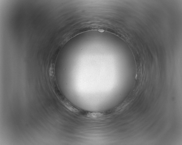 X0000076330137200609290903
