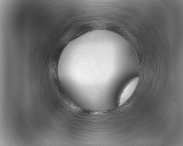 X0000076330141200609290902