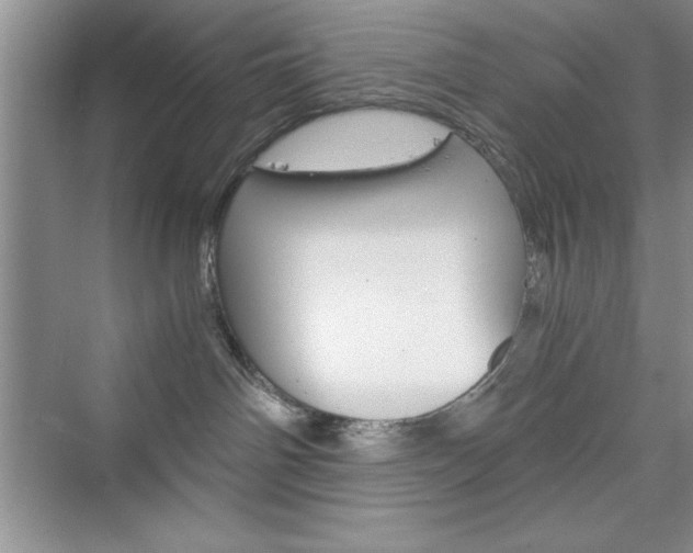 X0000076330142200609290902