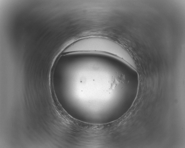 X0000076330148200609290902