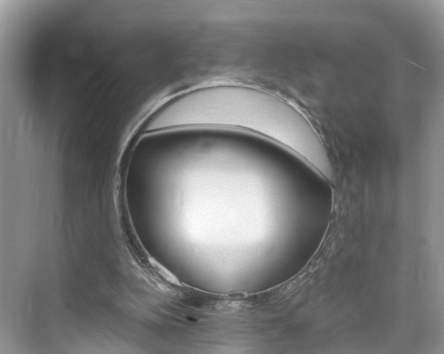 X0000076330152200609290902