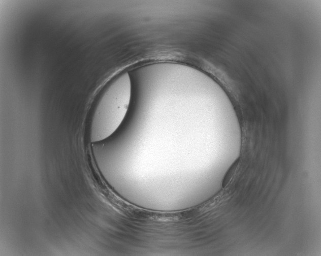 X0000076330155200609290902