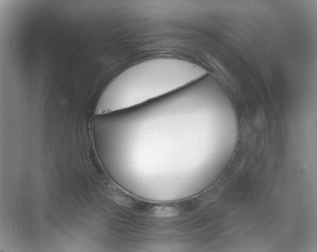 X0000076330169200609290902