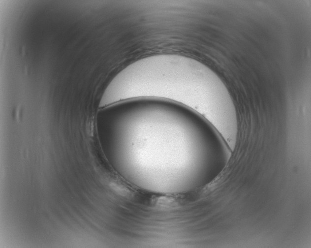 X0000076330180200609290902