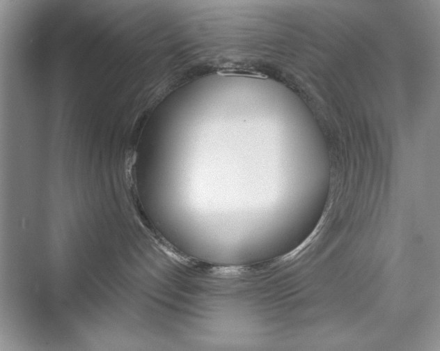 X0000076330192200609290902