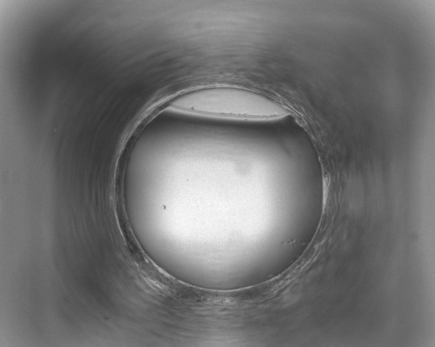 X0000076330195200609290902