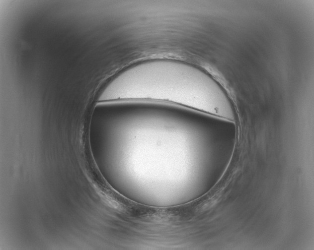 X0000076330201200609290901