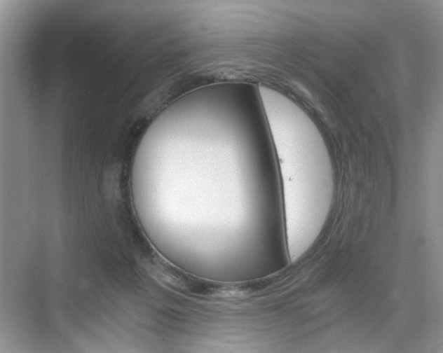 X0000076330217200609290901