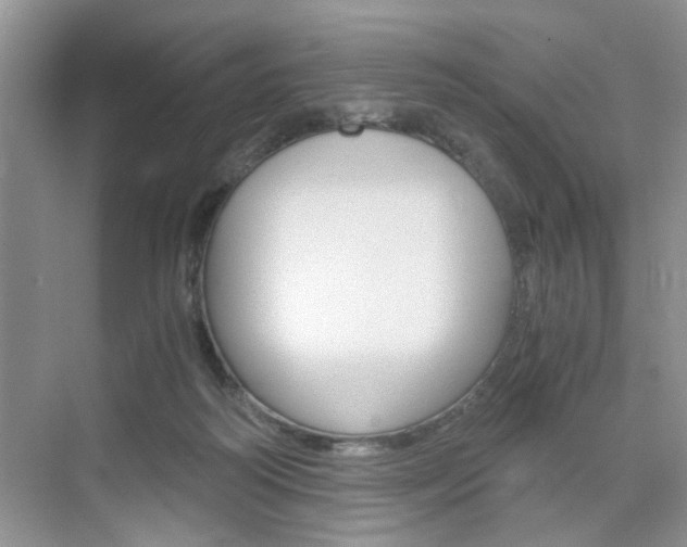 X0000076330218200609290901