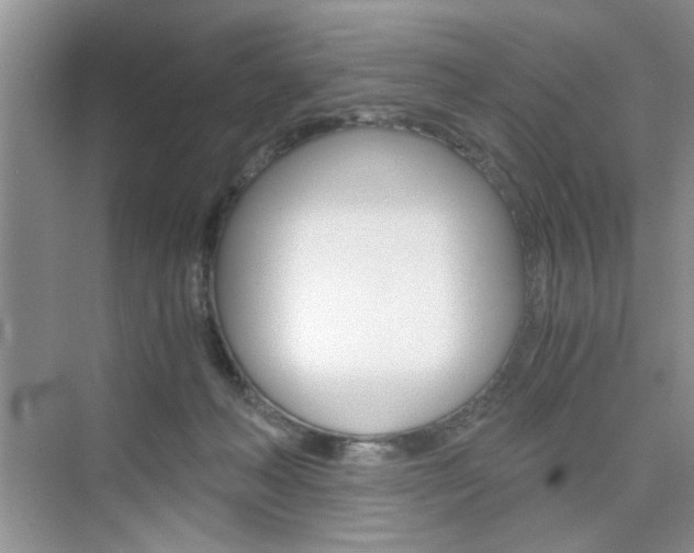 X0000076330222200609290901