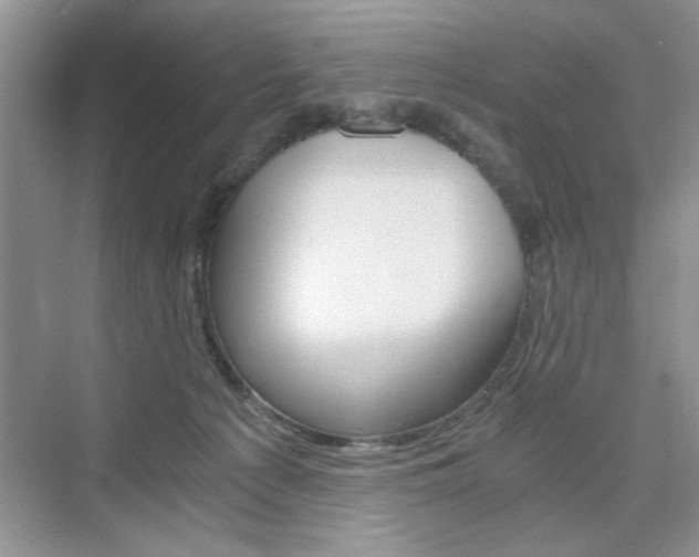 X0000076330225200609290901