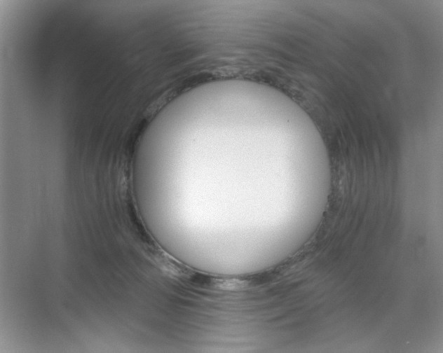X0000076330226200609290901