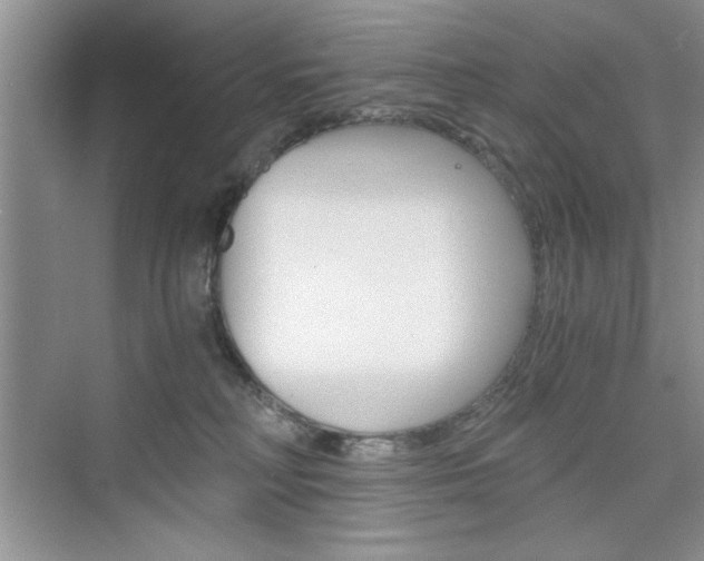 X0000076330230200609290901