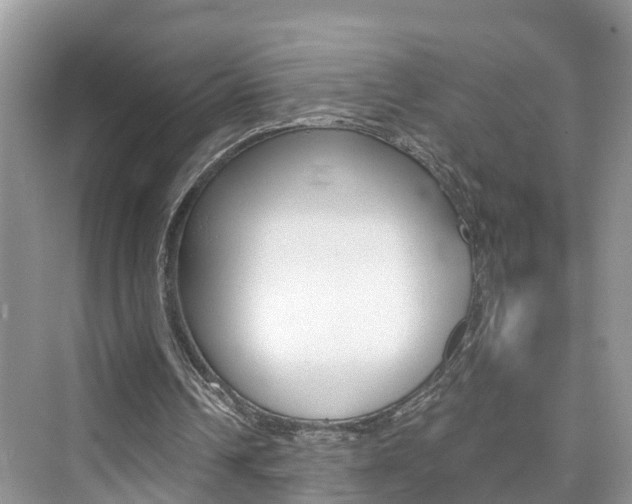 X0000076330242200609290900