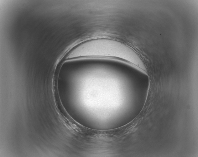 X0000076330244200609290900