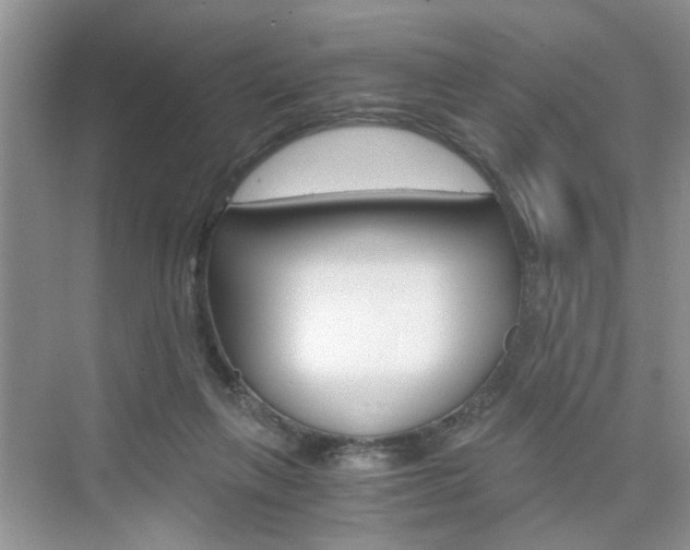 X0000076330263200609290900
