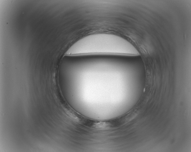 X0000076330269200609290900